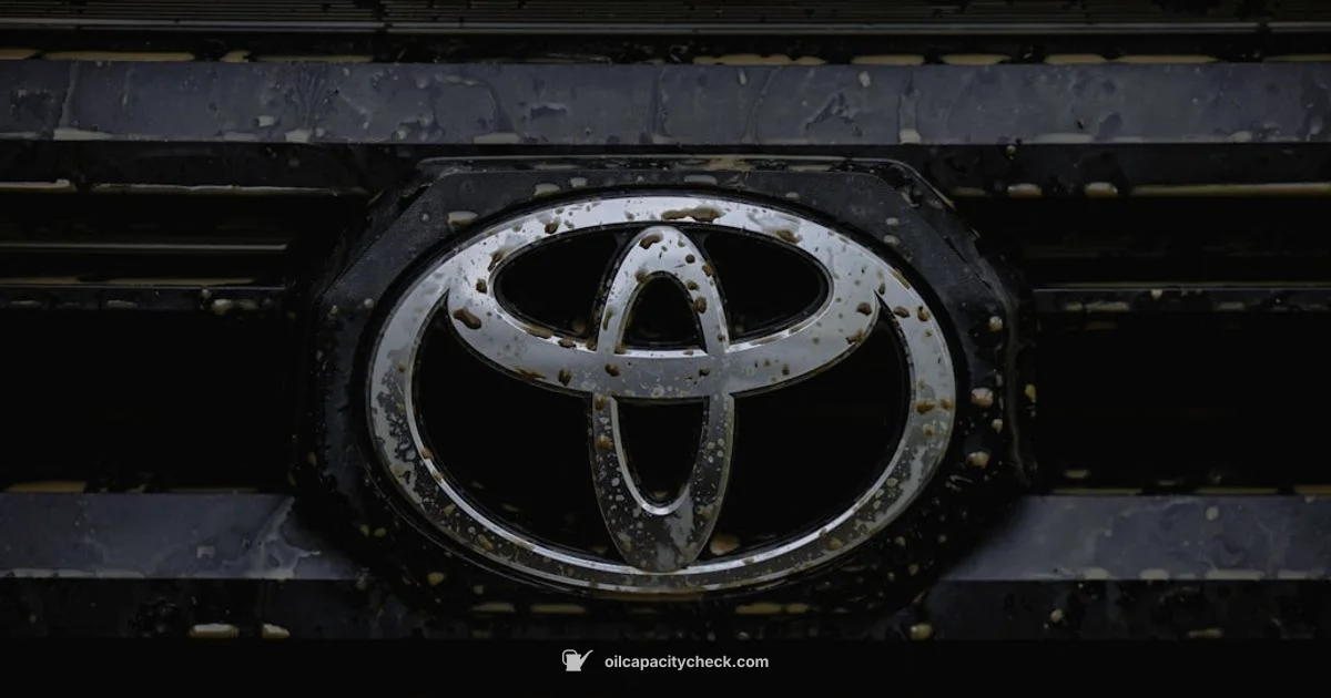 Camry Oil Check - Oil Capacity Check