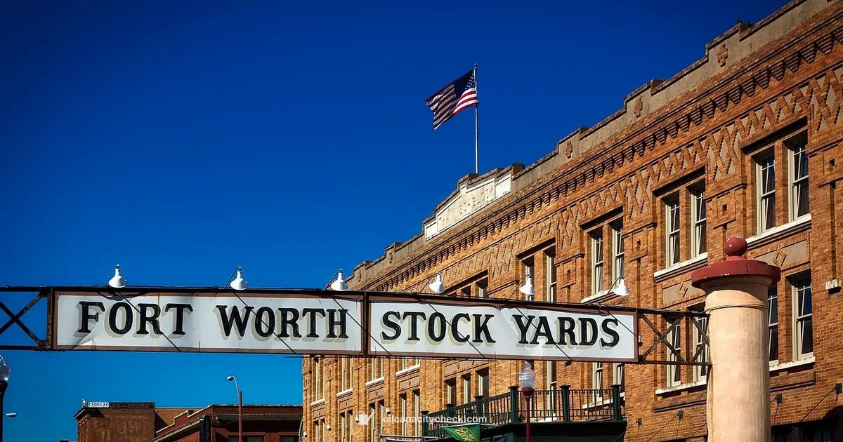 Best Oil Change Fort Worth - Oil Capacity Check