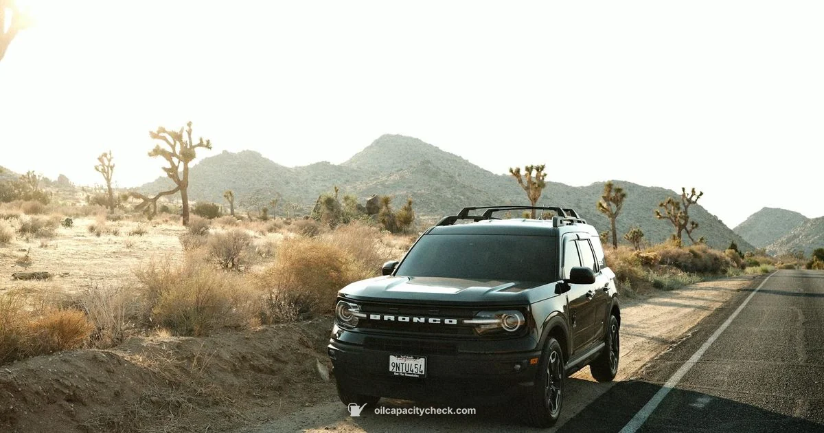 Oil Capacity Guide - Oil Capacity Check