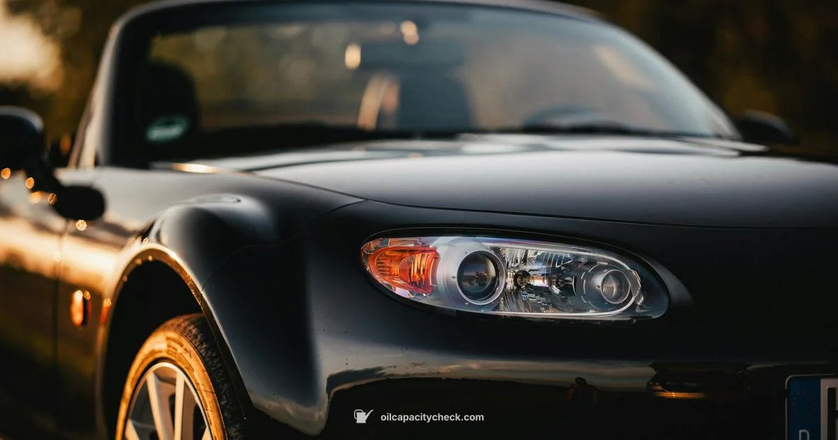 Oil Capacity Guide - Oil Capacity Check