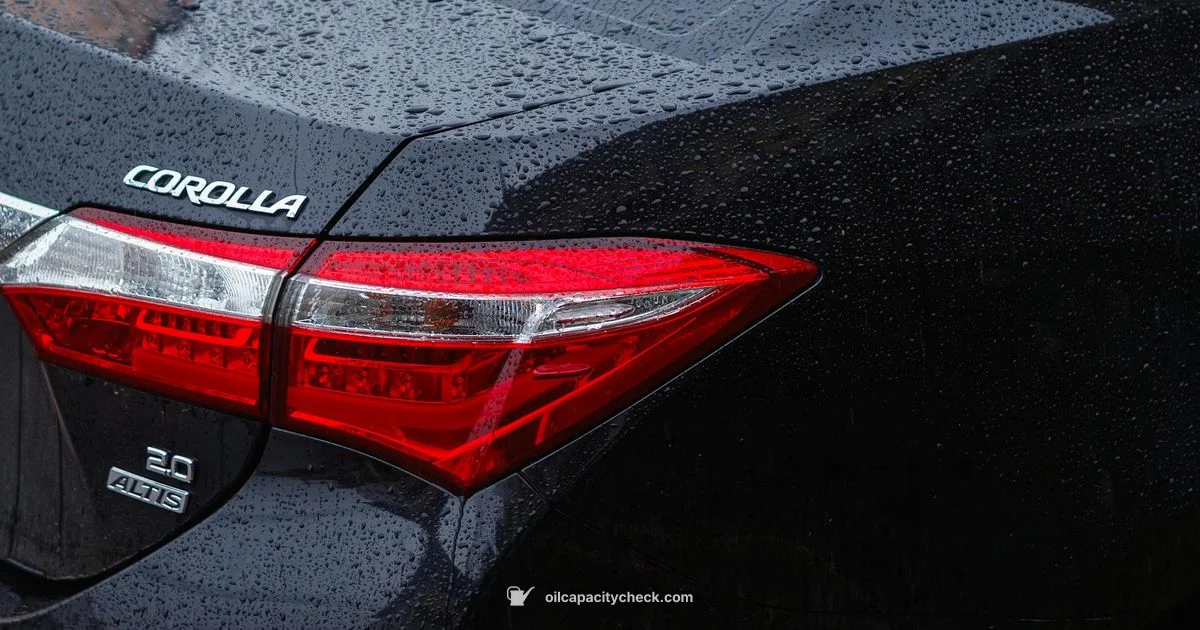 Oil Capacity Guide - Oil Capacity Check