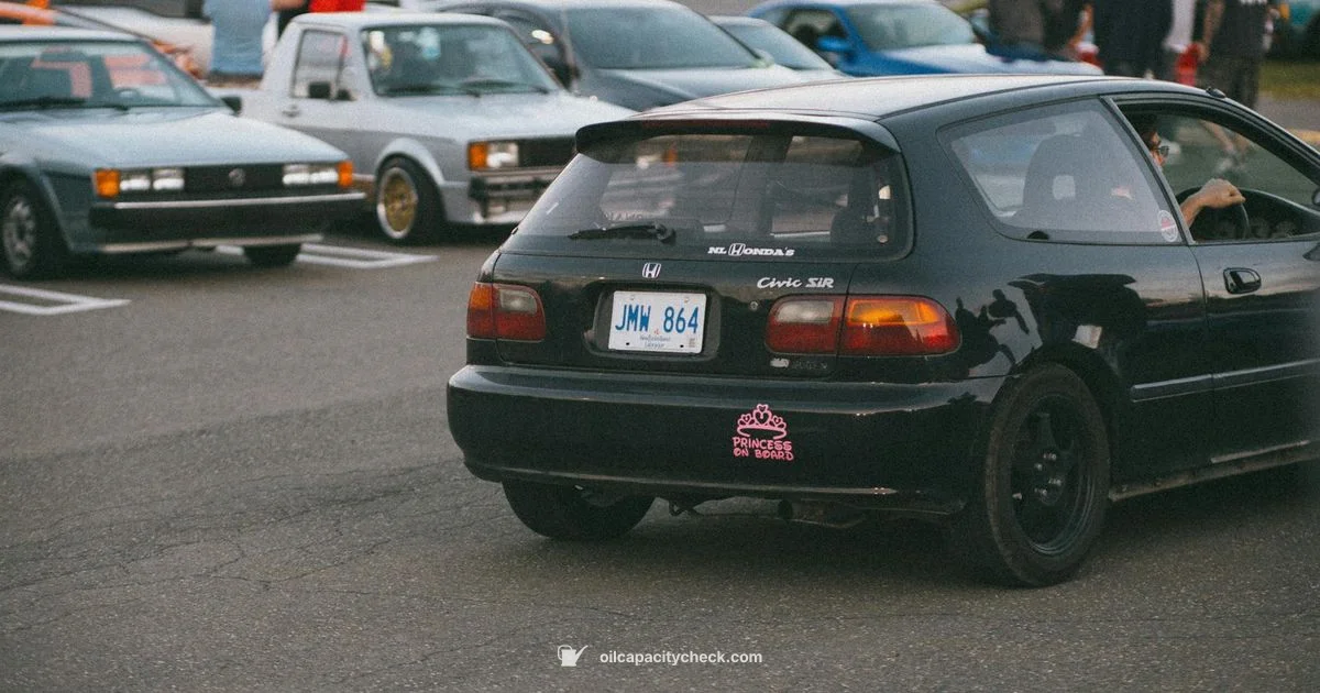 2002 Civic Oil Capacity 2002 Civic Oil Capacity - Oil Capacity Check