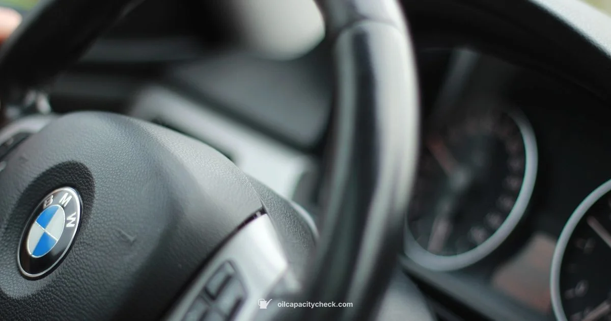 Oil Capacity Basics - Oil Capacity Check