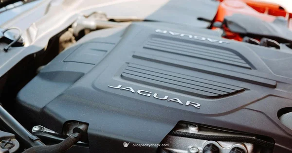 Oil Capacity Guide - Oil Capacity Check