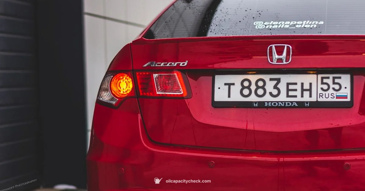 Oil Capacity Insight - Oil Capacity Check