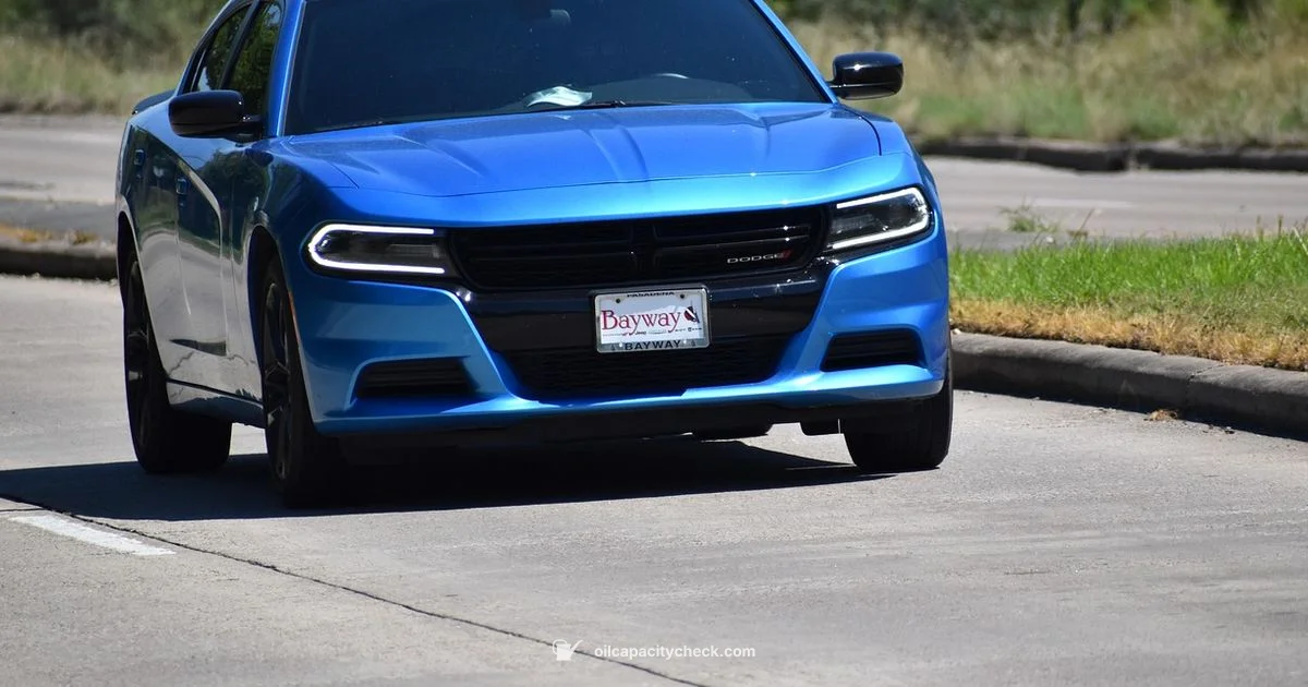 Oil Capacity Basics Oil Capacity Basics - Oil Capacity Check