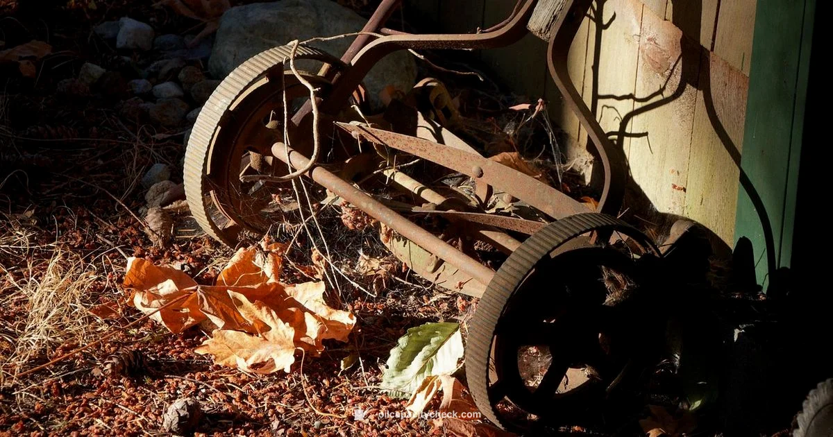 Oil Capacity Insight - Oil Capacity Check