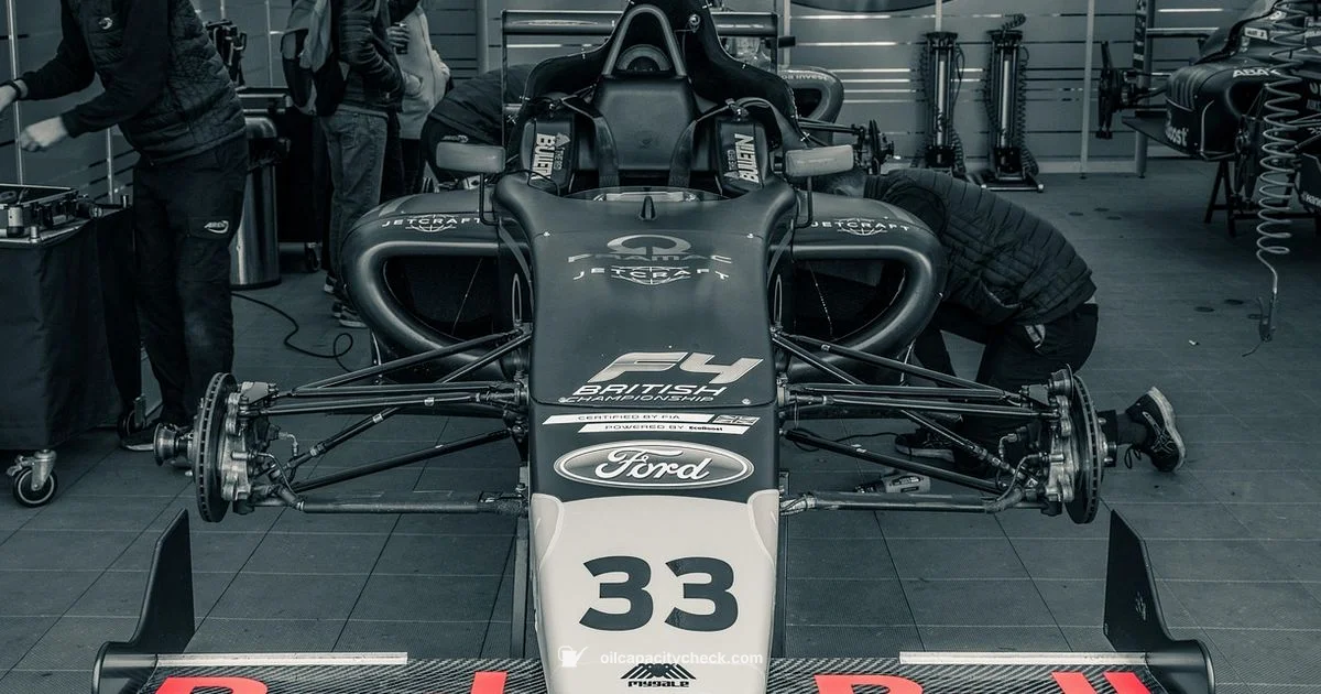 DIY Oil Change Guide - Oil Capacity Check