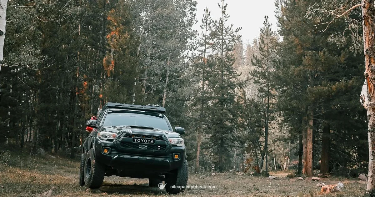 Oil Capacity Guide - Oil Capacity Check