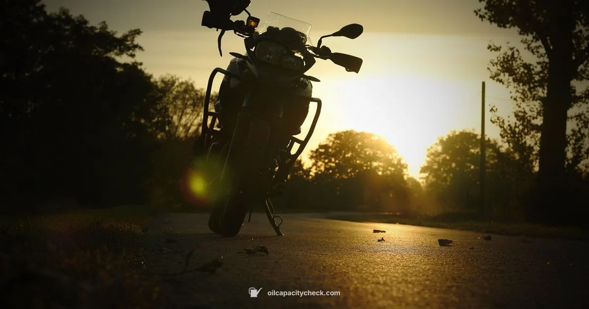 Honda Pioneer 700 Oil Capacity - Oil Capacity Check