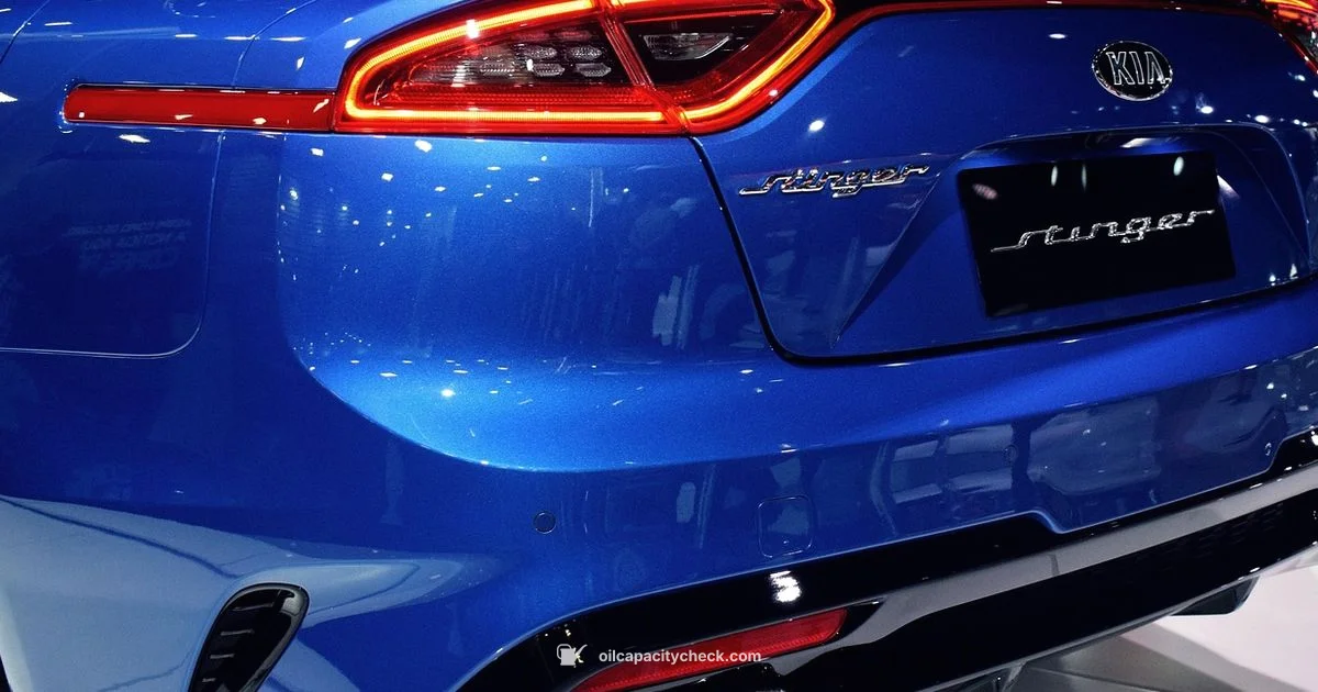 Sorento Oil Capacity Sorento Oil Capacity - Oil Capacity Check