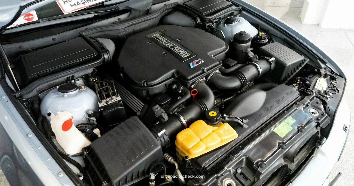 GM 6.0 Oil Capacity - Oil Capacity Check