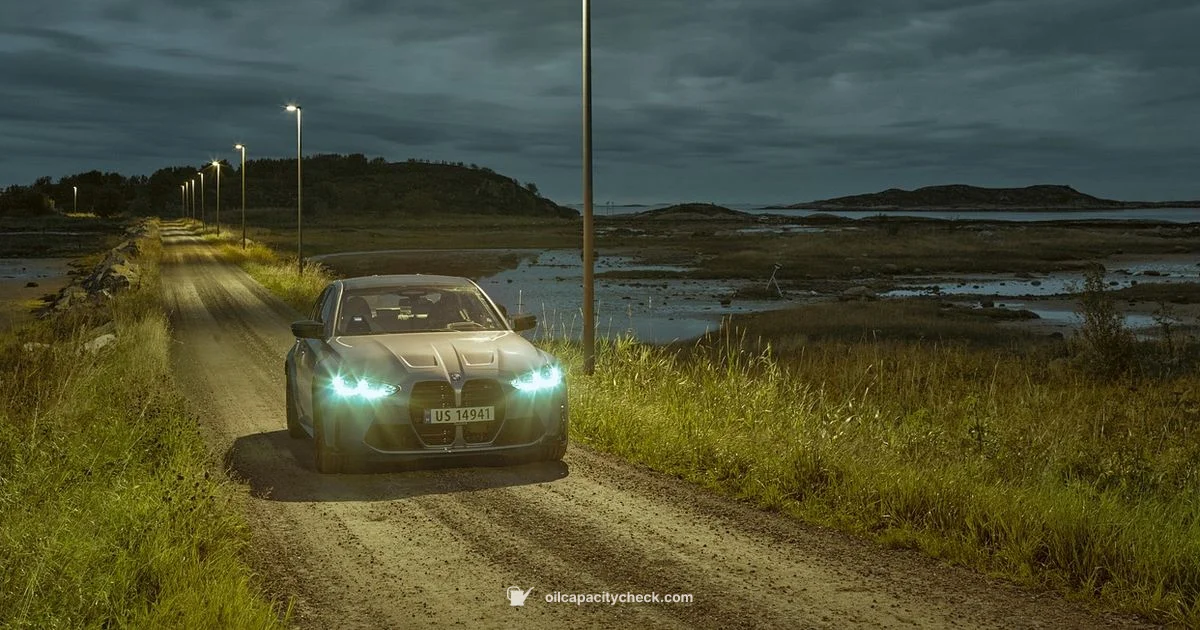 bmw 320i oil capacity - Oil Capacity Check