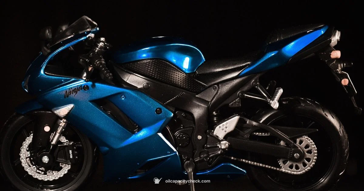 Ninja 250 Oil Capacity - Oil Capacity Check