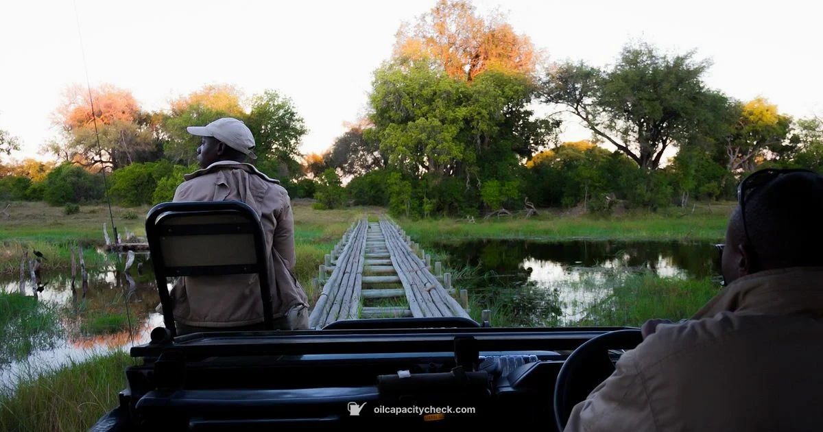 JK Oil Guide - Oil Capacity Check