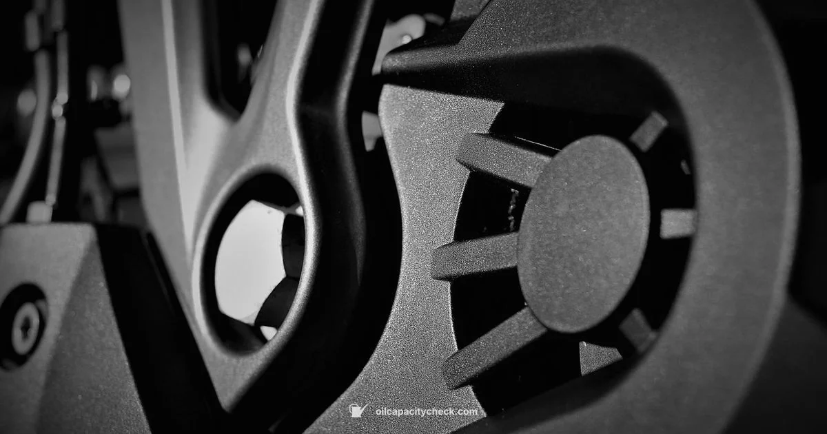 BMW M8 Oil Capacity - Oil Capacity Check