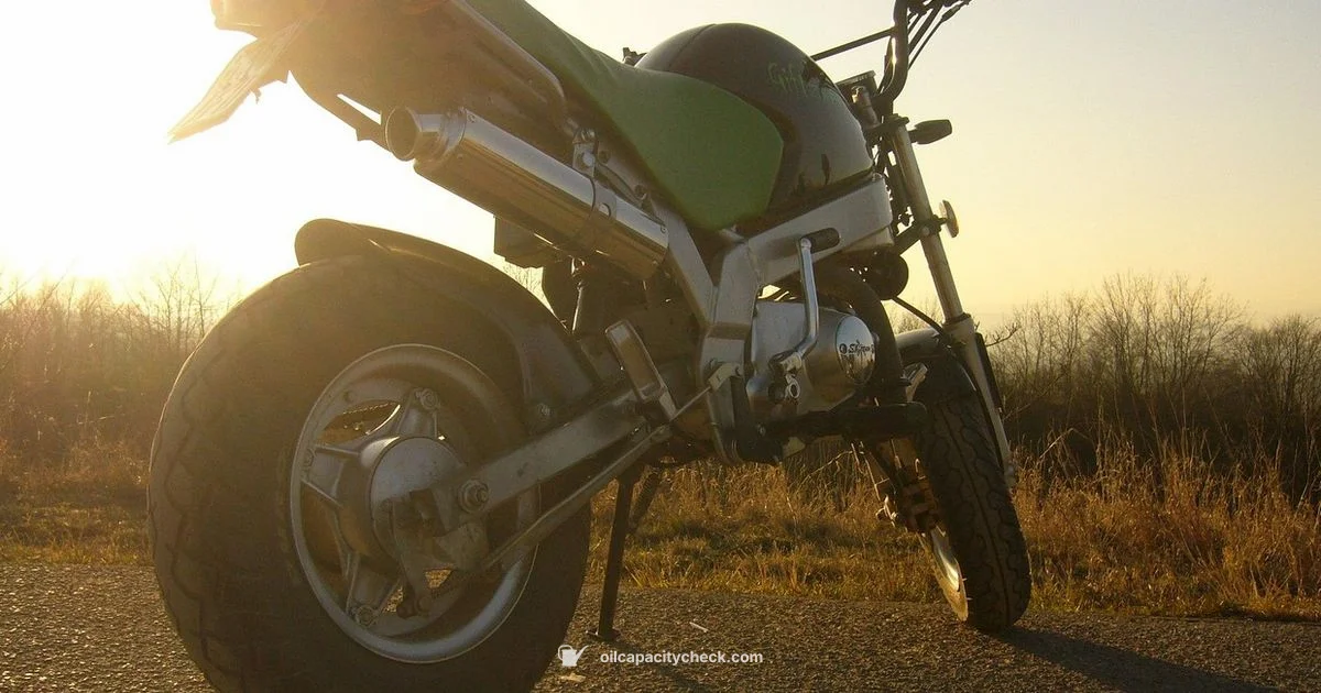 Oil Capacity Basics - Oil Capacity Check