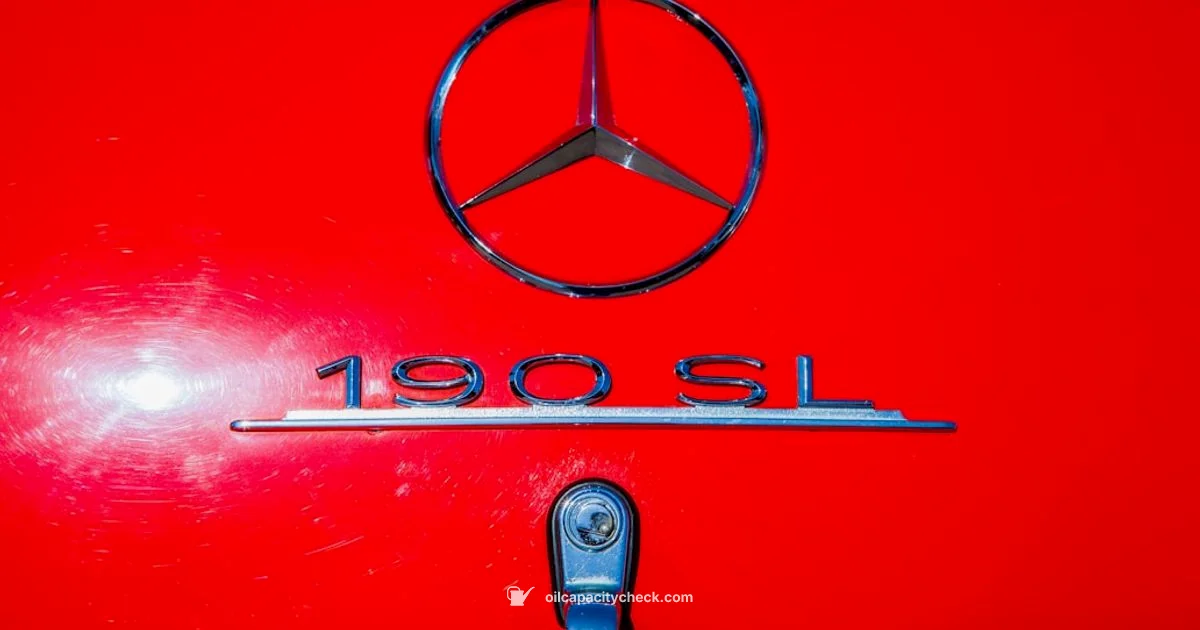 Mercedes Oil Change Costs - Oil Capacity Check