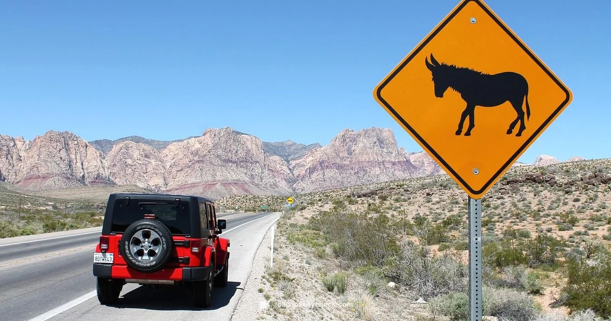 Oil Capacity Guide - Oil Capacity Check