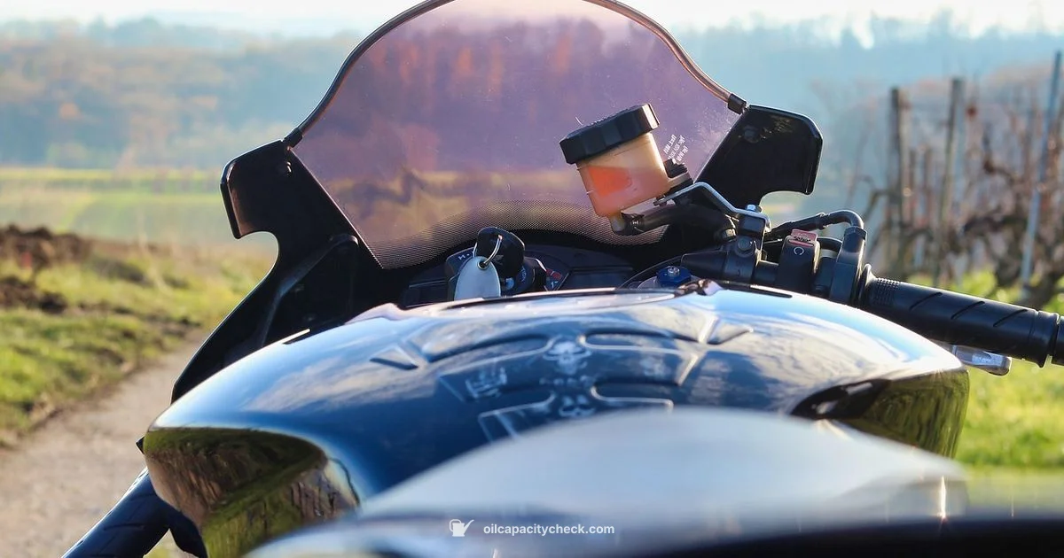 Oil Capacity Oil Capacity - Oil Capacity Check