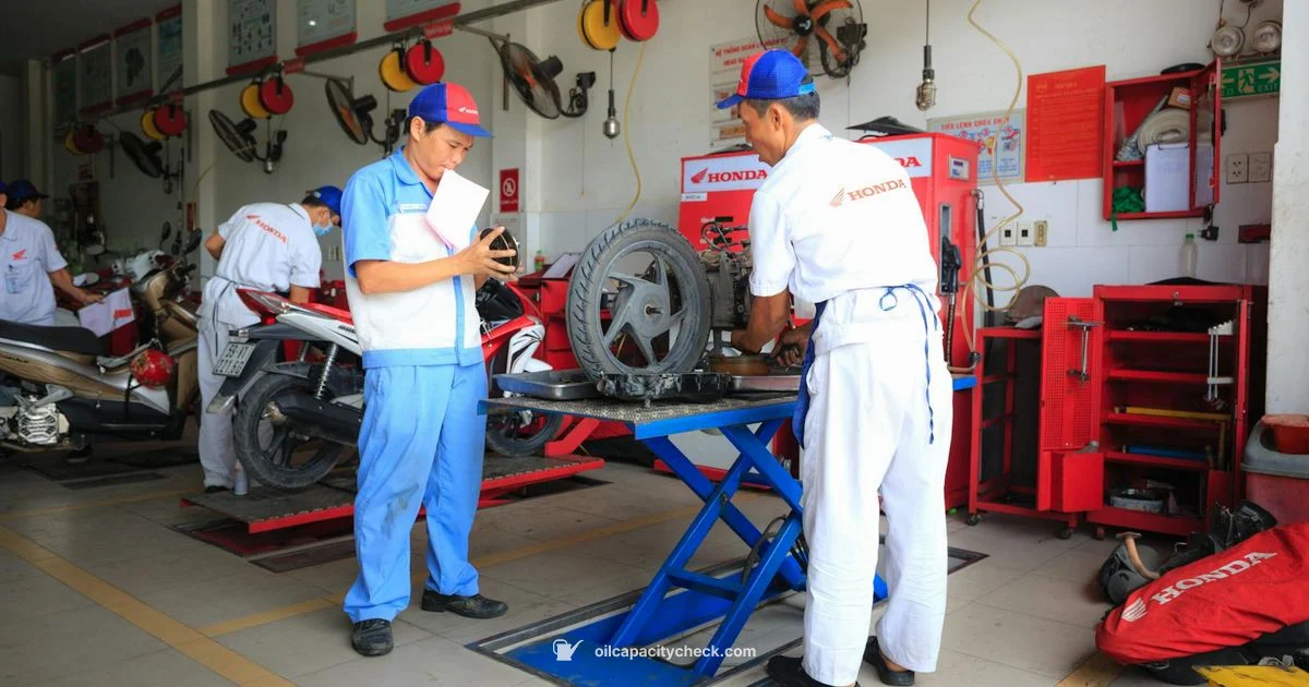 Oil Change Guide - Oil Capacity Check