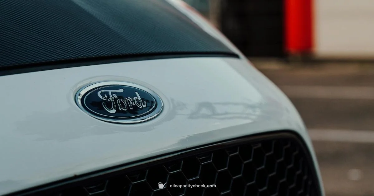 Oil Capacity - Oil Capacity Check