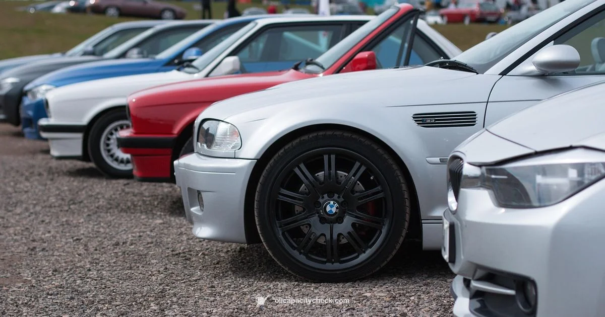 E46 M3 Oil Capacity - Oil Capacity Check