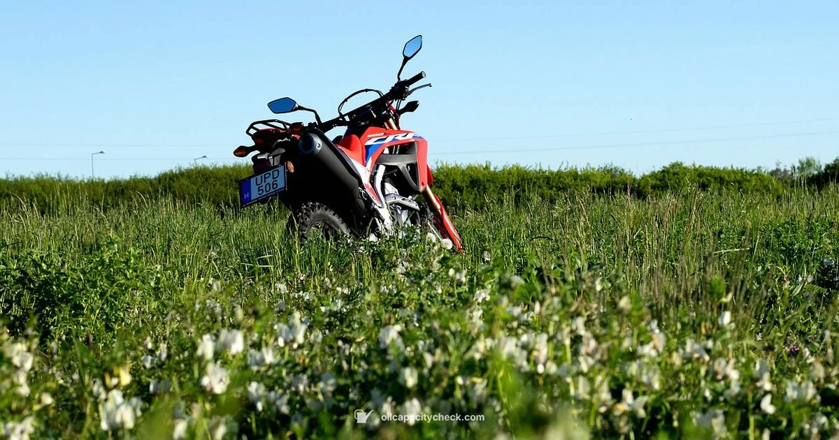 FourTrax Oil Guide - Oil Capacity Check