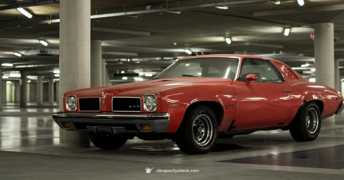 Best Oil Change Guide - Oil Capacity Check