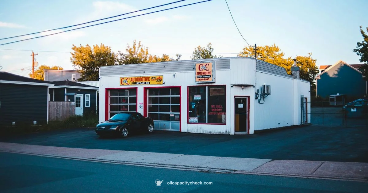 Top Oil Change Picks - Oil Capacity Check