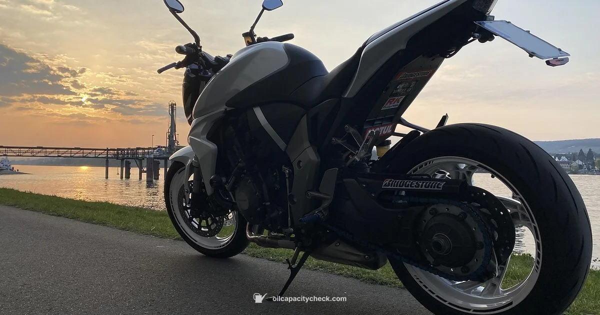 City Oil Capacity - Oil Capacity Check