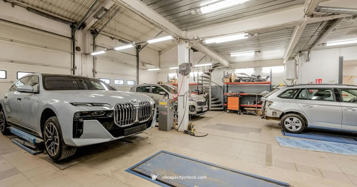 Oil Capacity Guide - Oil Capacity Check