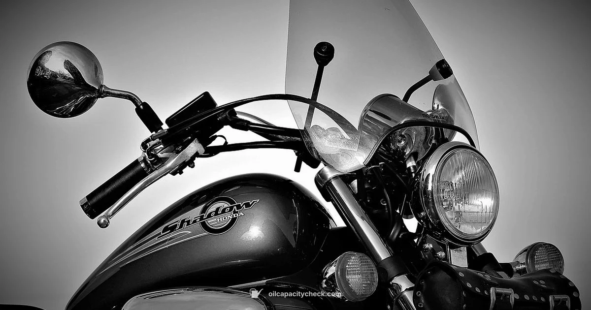 Odyssey Oil Capacity Odyssey Oil Capacity - Oil Capacity Check