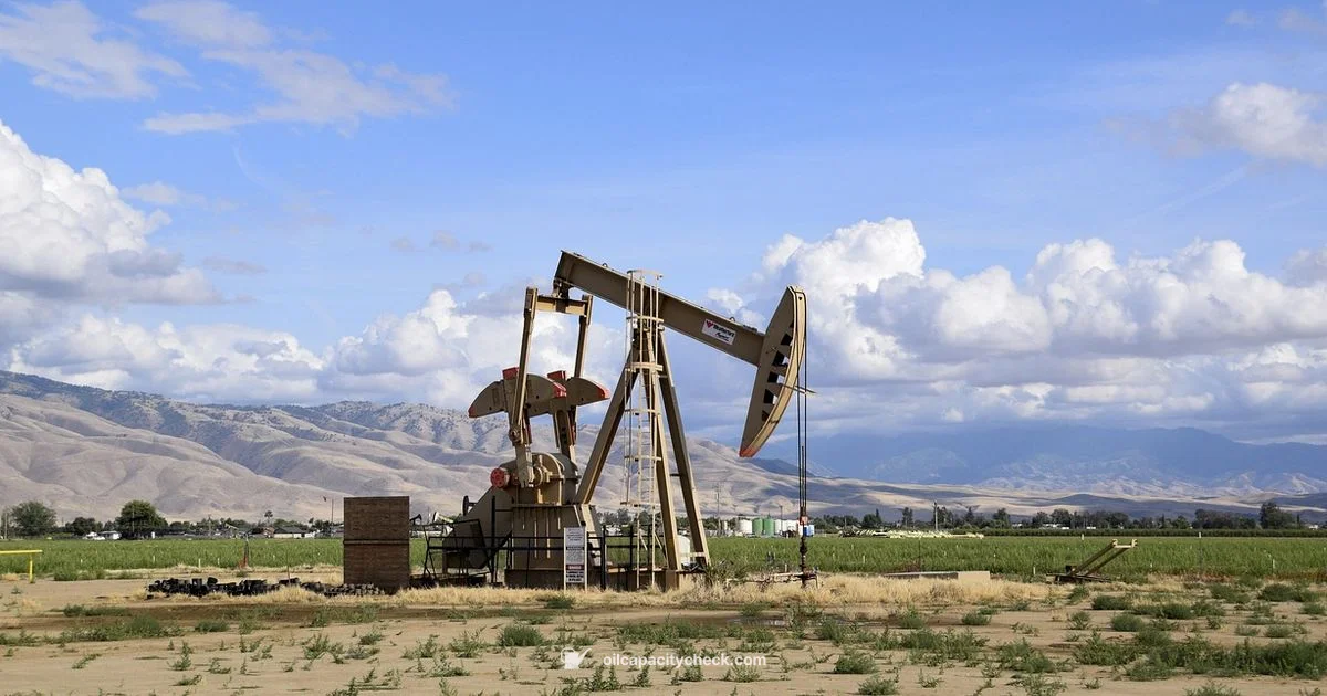 Clean Oil Pump - Oil Capacity Check