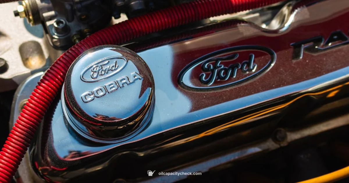 5.4L Oil Capacity - Oil Capacity Check