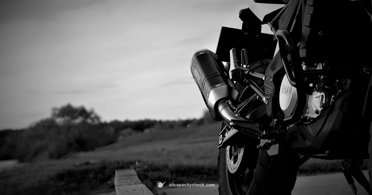 BMW 328i Oil Capacity - Oil Capacity Check