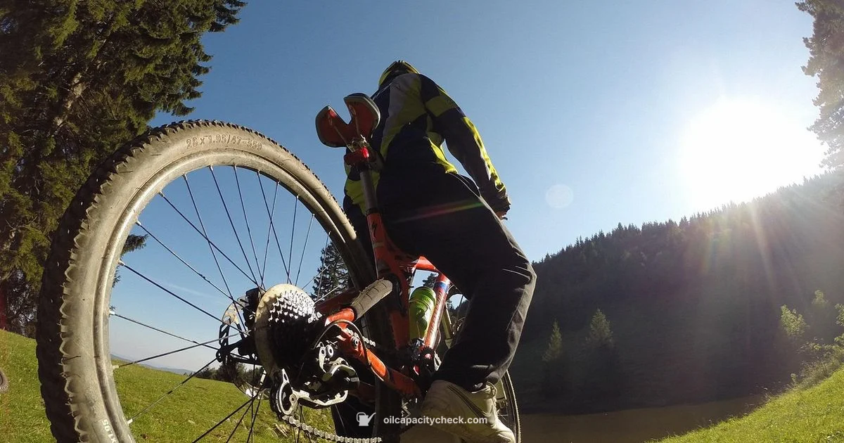 Ninja 400 Oil Capacity - Oil Capacity Check