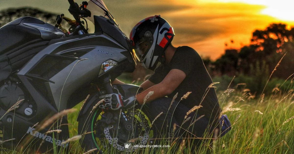 Ninja 650 Capacity - Oil Capacity Check