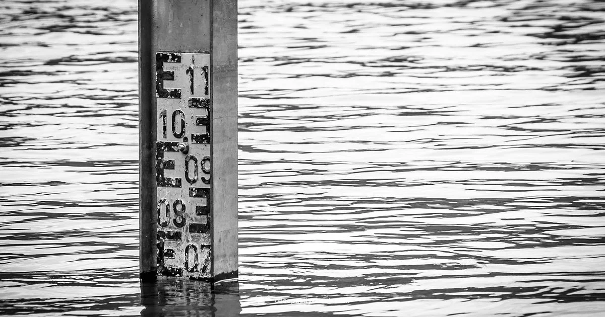 Check Oil Level - Oil Capacity Check