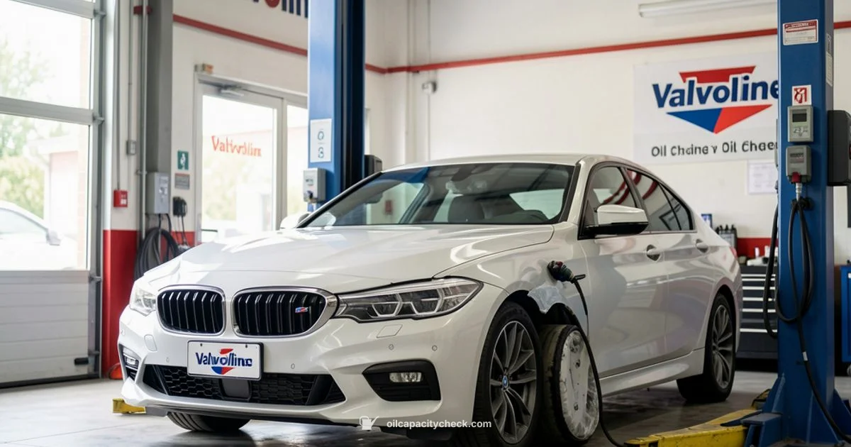 Valvoline Oil Change - Oil Capacity Check