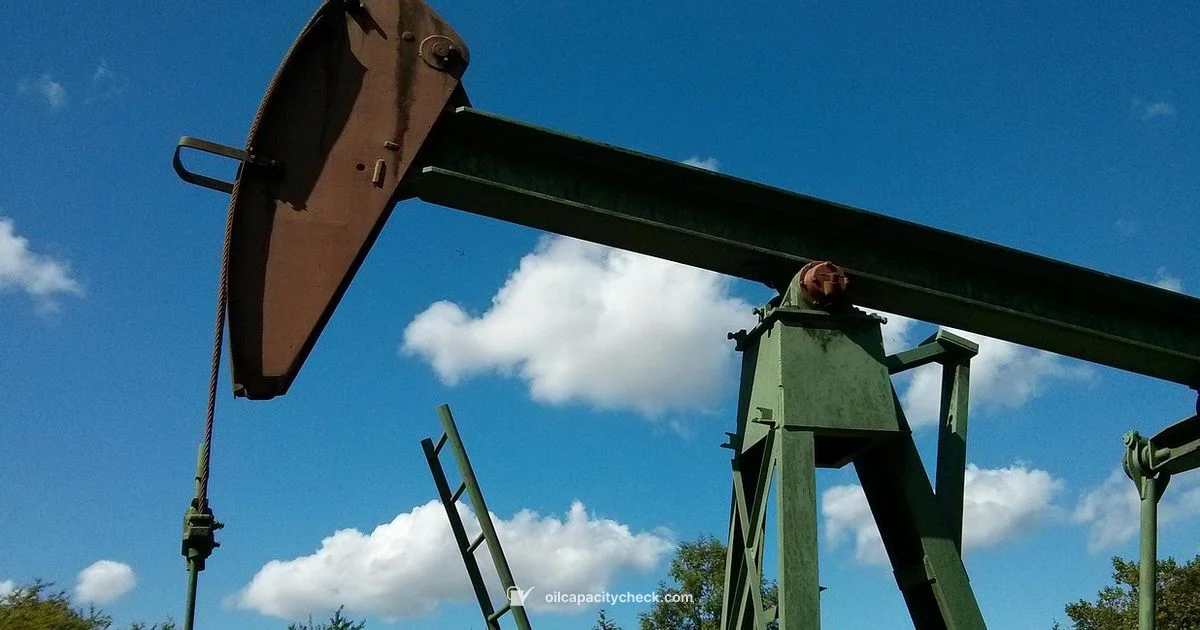 Affordable Oil Change - Oil Capacity Check