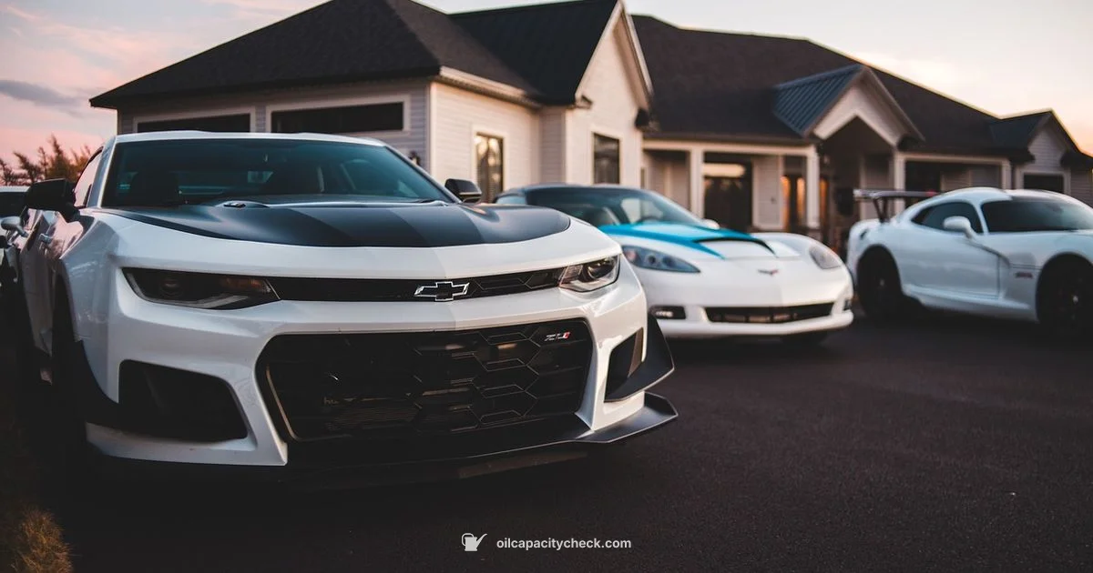 Oil Change, No Jack - Oil Capacity Check