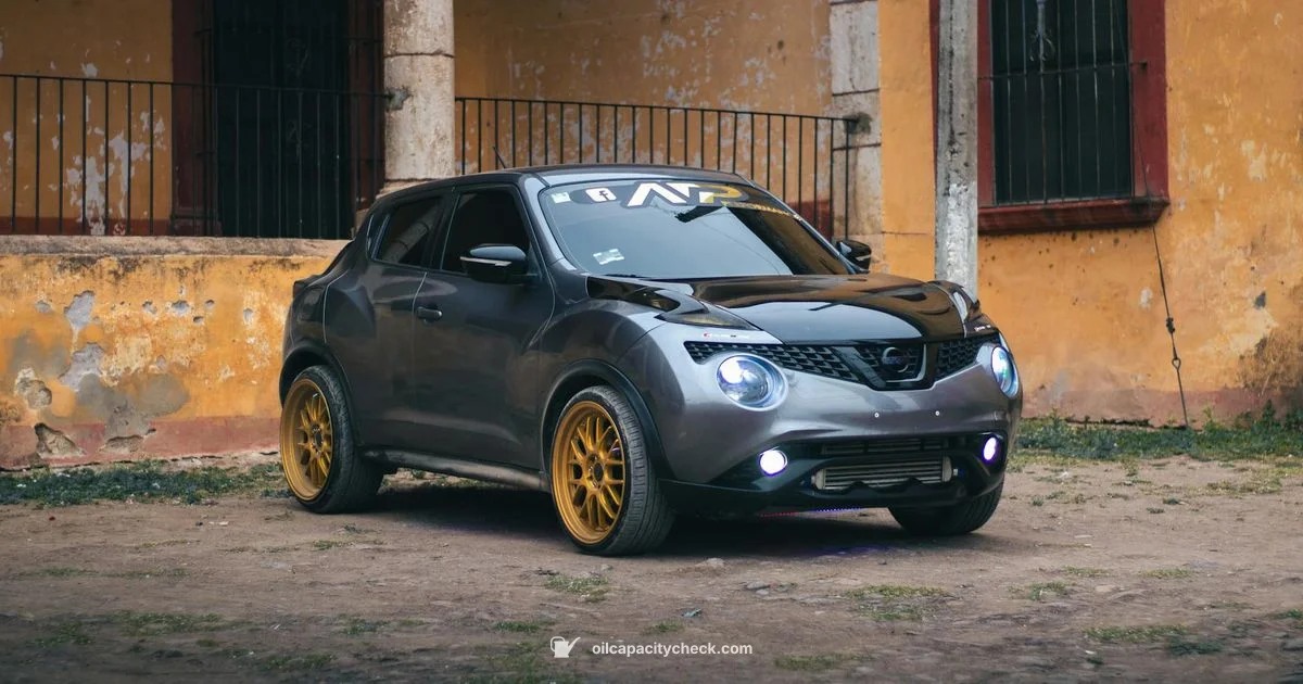 Oil Capacity Guide - Oil Capacity Check