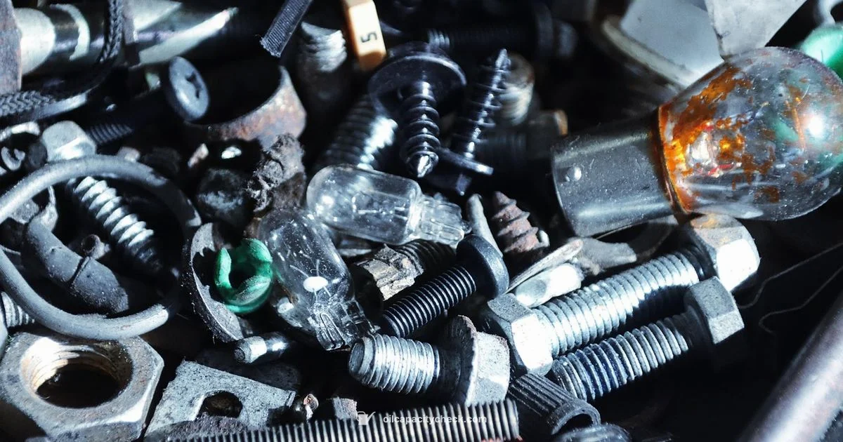 Oil Change Interval - Oil Capacity Check