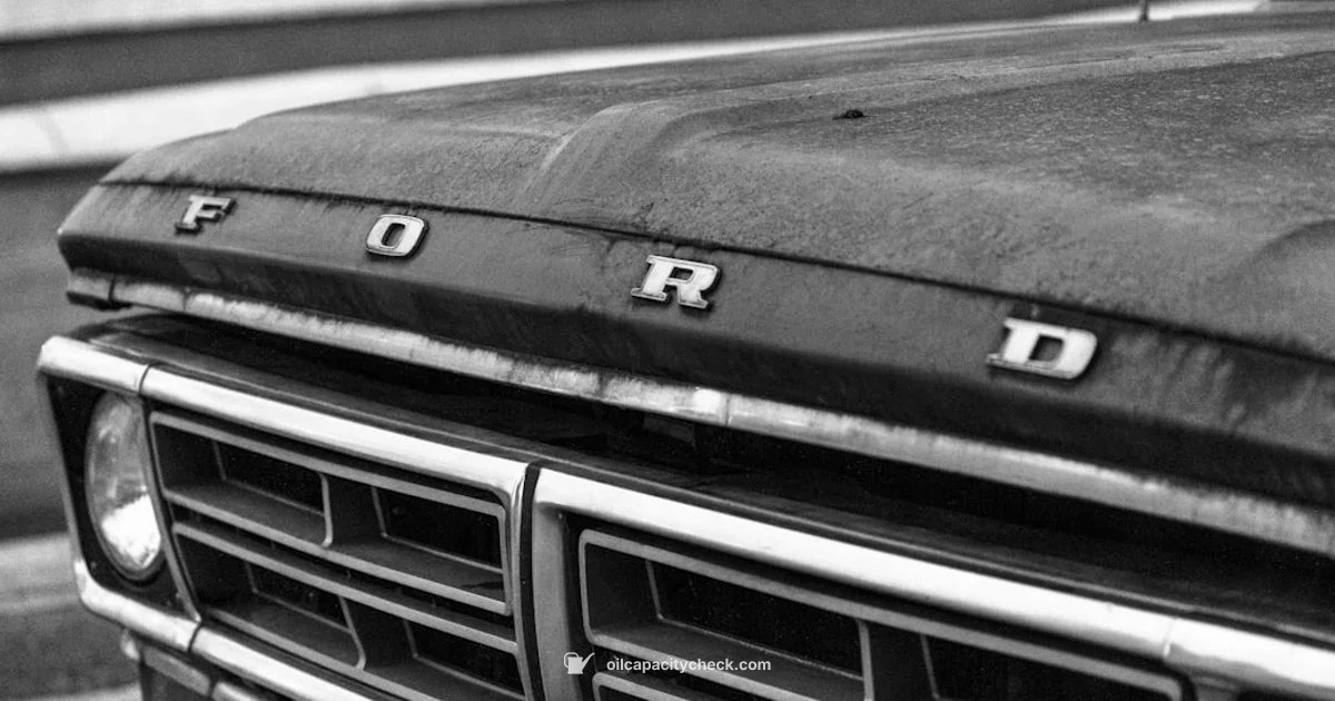 Oil Capacity - Oil Capacity Check