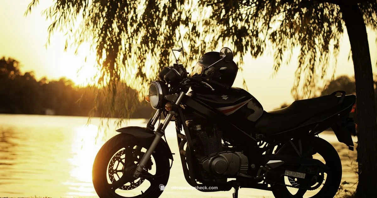 Oil Change Guide - Oil Capacity Check