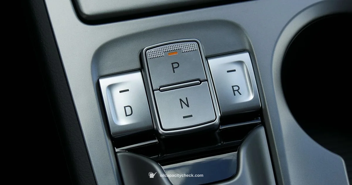 Elantra Oil Capacity - Oil Capacity Check