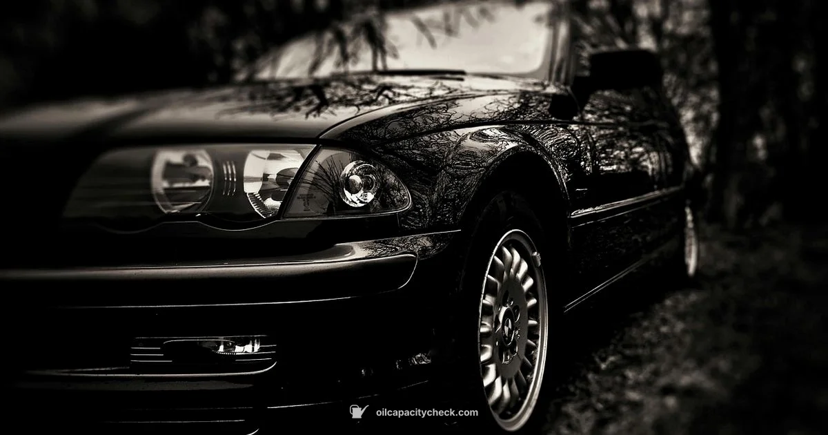 E46 Oil Capacity - Oil Capacity Check