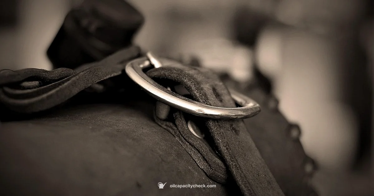 GCV160 Oil Capacity - Oil Capacity Check