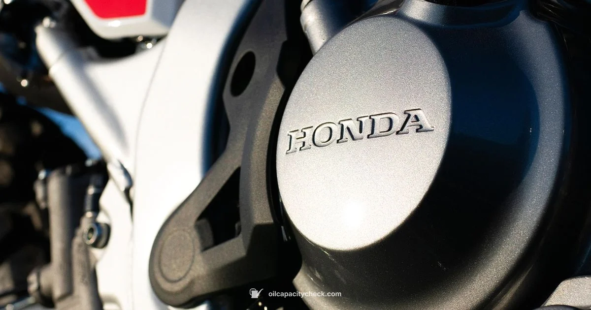 CR-V Oil Capacity - Oil Capacity Check